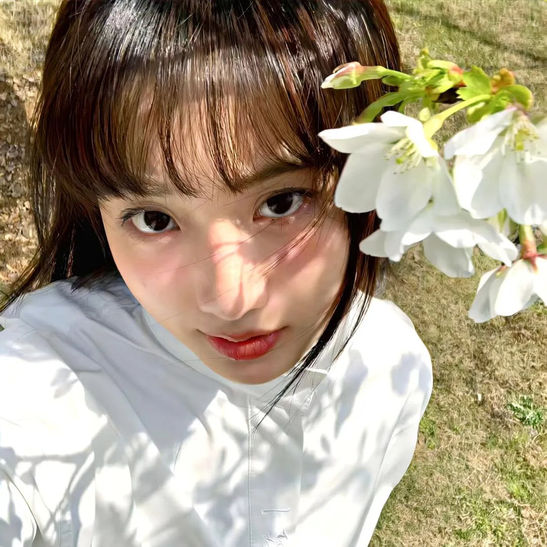辣手碎情花